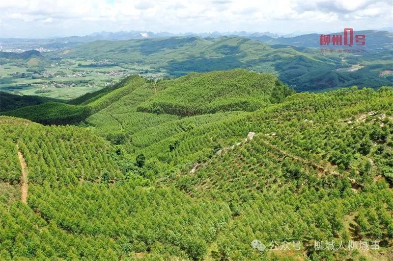 高空视角可看到石墙位于半山腰。